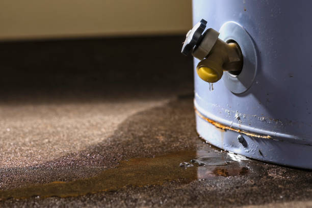 Best Water damage restoration process  in Calcium, NY