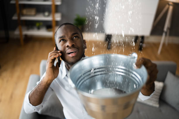 Best Water damage contractors near me  in Calcium, NY