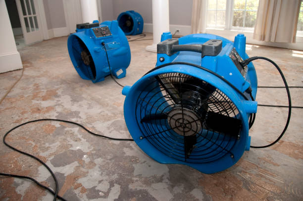 Best Basement water damage restoration  in Calcium, NY