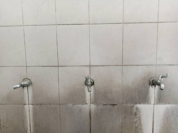 Best Flood restoration services  in Calcium, NY