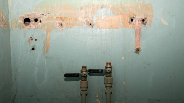 Best Water damage contractors near me  in Calcium, NY