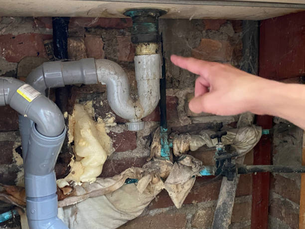 Best Flooded house restoration  in Calcium, NY