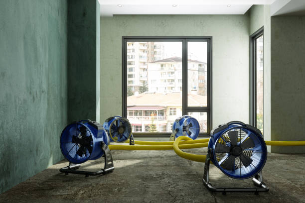 Best Flood restoration services  in Calcium, NY